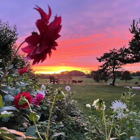 公寓 In Peaceful Surroundings 内克瑟