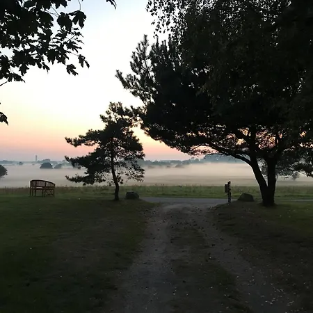 In Peaceful Surroundings *