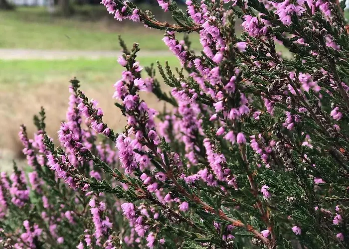 Appartement In Peaceful Surroundings Neksø